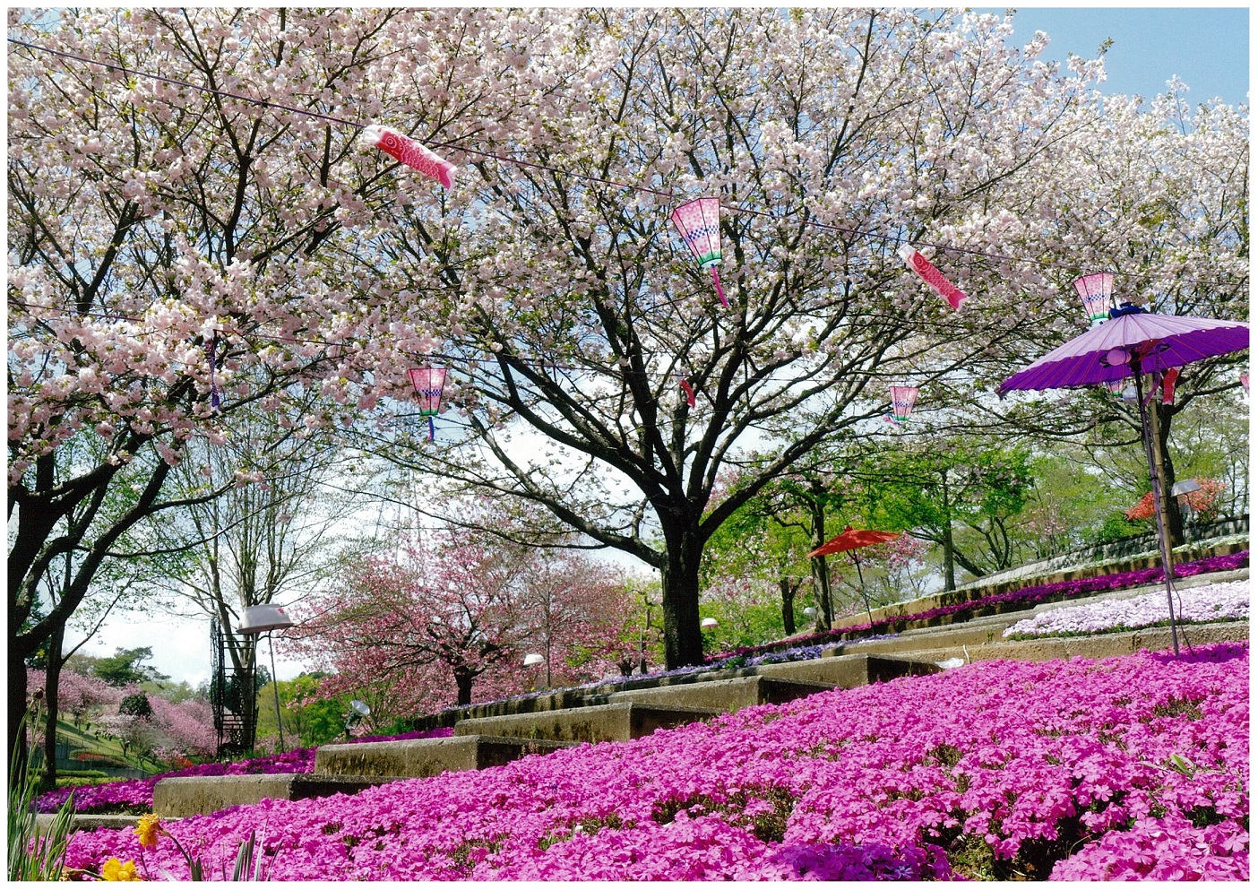 17 茨城県那珂市「静峰公園」