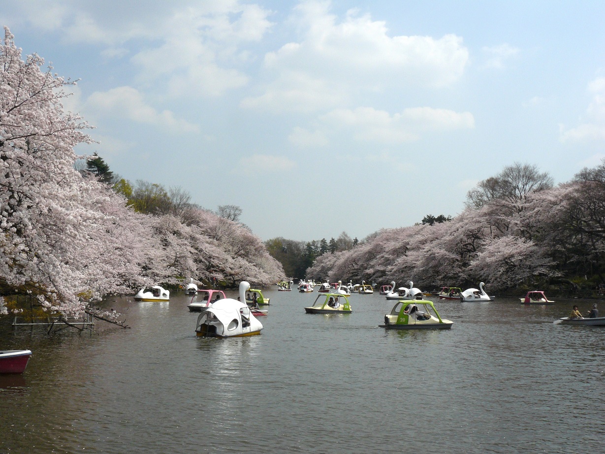 32 東京都武蔵野市「井の頭恩賜公園」