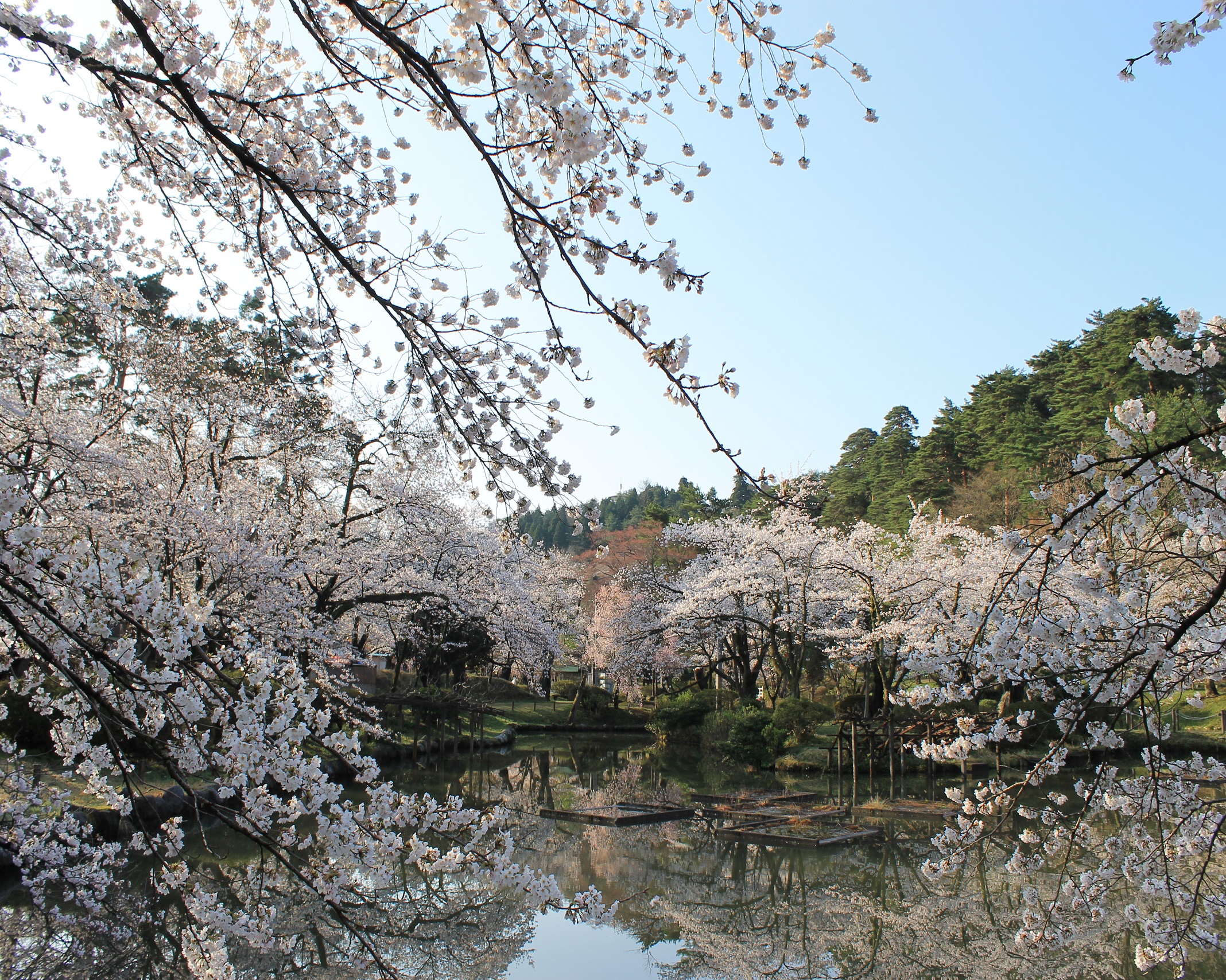 38 新潟県五泉市「村松公園」