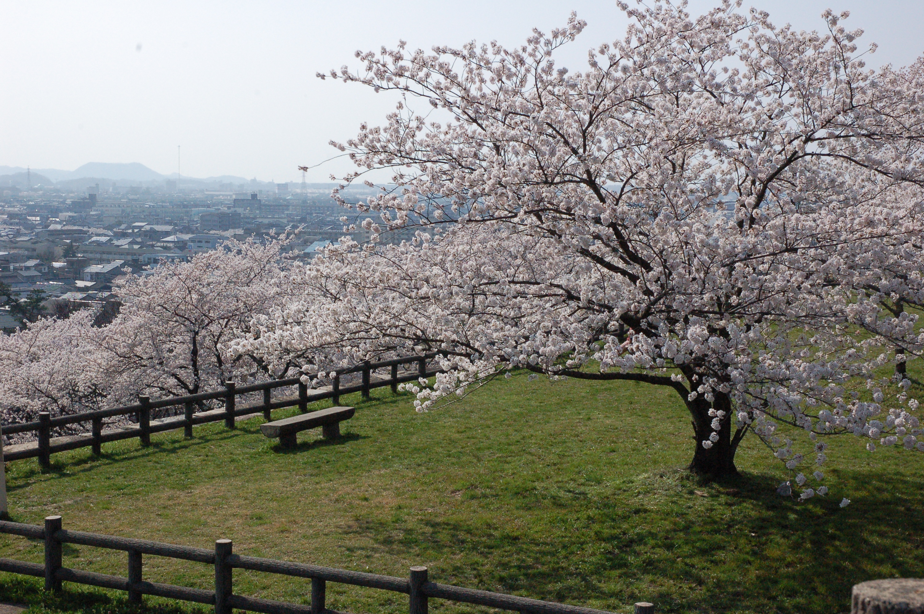 77 鳥取県鳥取市「久松公園」