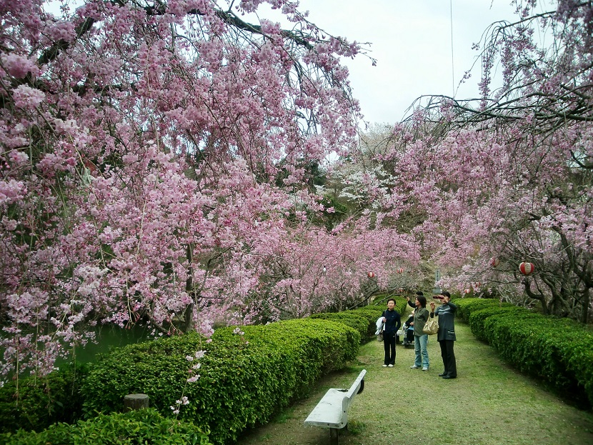 96 添田公園