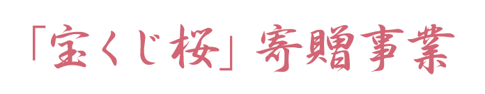 「宝くじ桜」寄贈事業