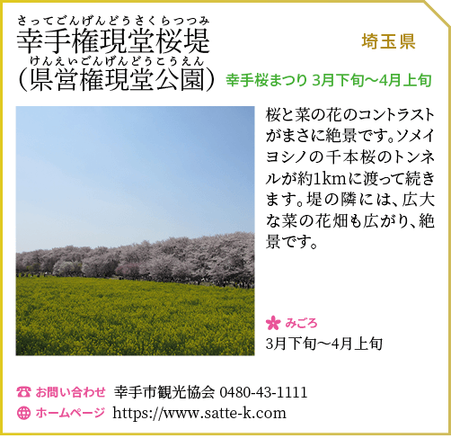 幸手権現堂桜堤