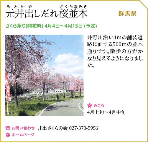 元井出しだれ桜