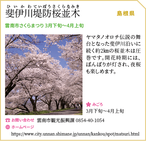 斐伊川堤防桜並木