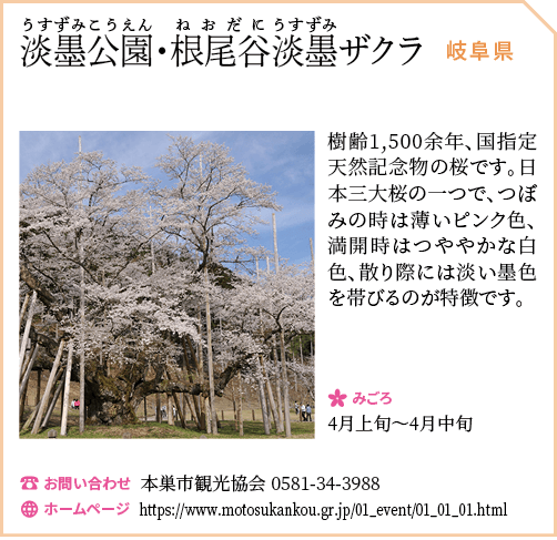 根尾谷・淡墨公園