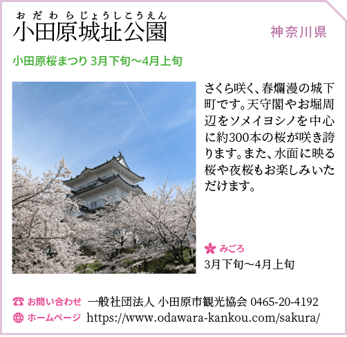 小田原城祉公園・城山公園