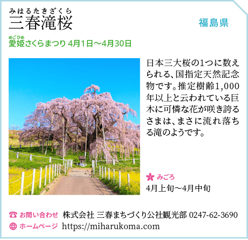 三春町のシダレザクラ