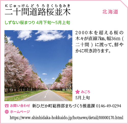 二十間道路桜並木