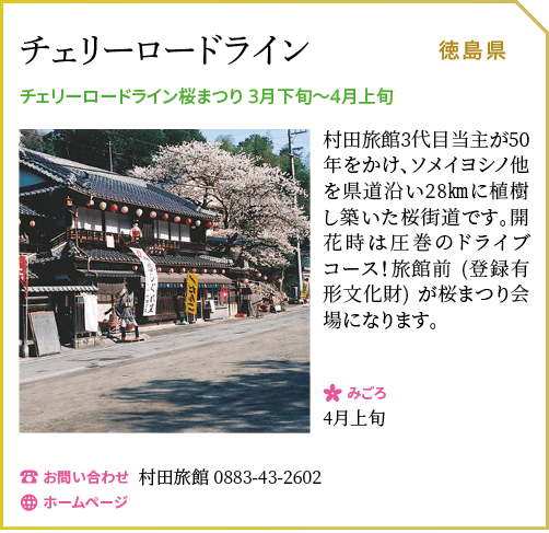 チェリーロードライン