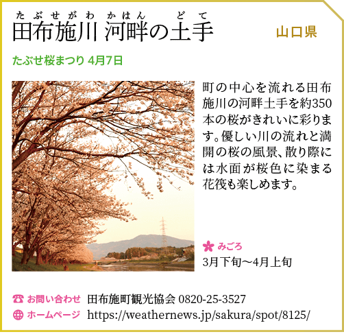 田布施川河畔の土手