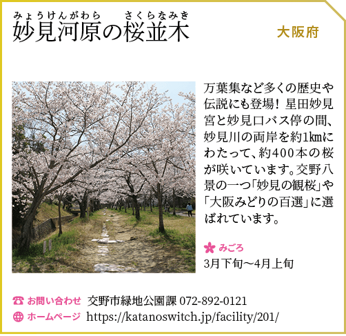 妙見河原の桜並木