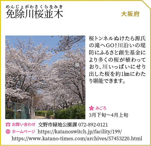 免除川桜並木