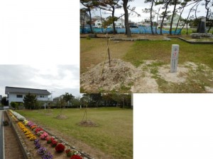 植樹後