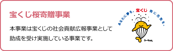 宝くじ桜寄贈事業