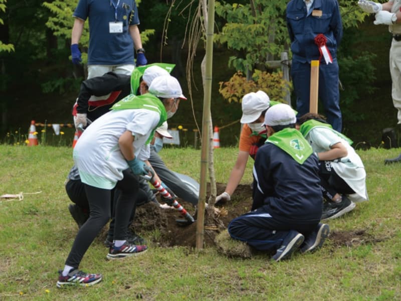 さくらの苗木を植える児童たち