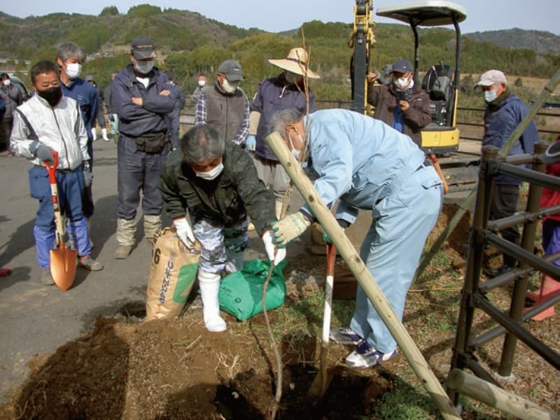 植え方の説明を受ける