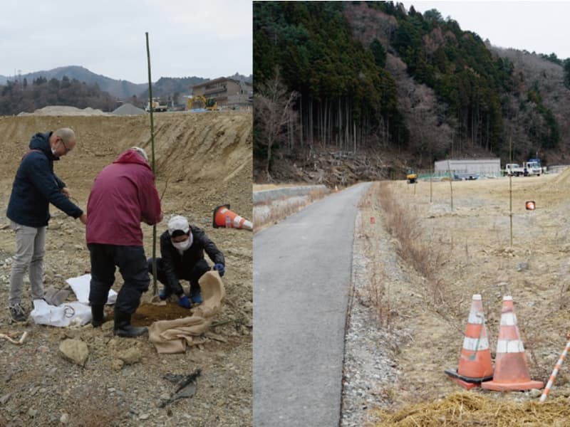 植樹風景と植樹後