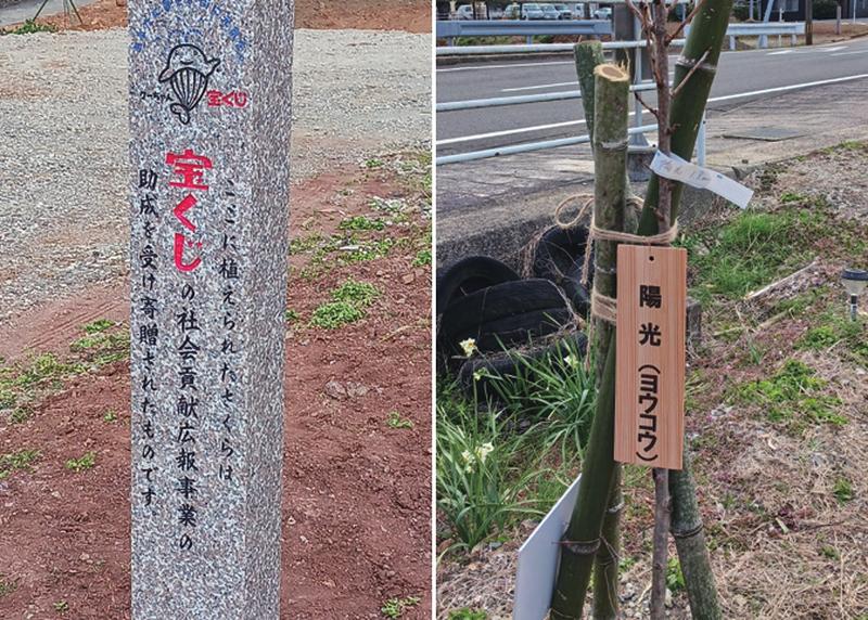 事業表示石碑（表）・品種表示板